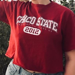 🚀Cyber Monday🛰 Vintage Chico Cropped Tee